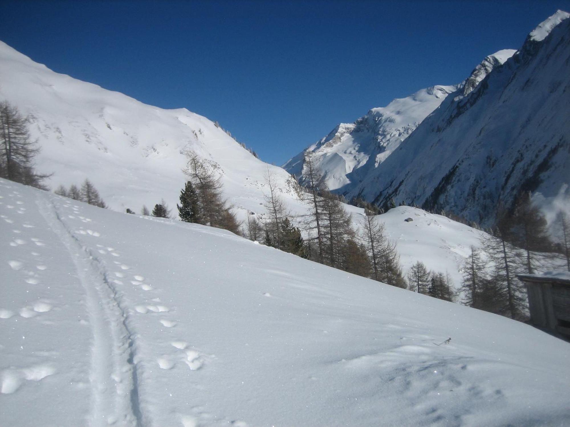 Haus Ursula Appartement Kals-am Großglockner Buitenkant foto