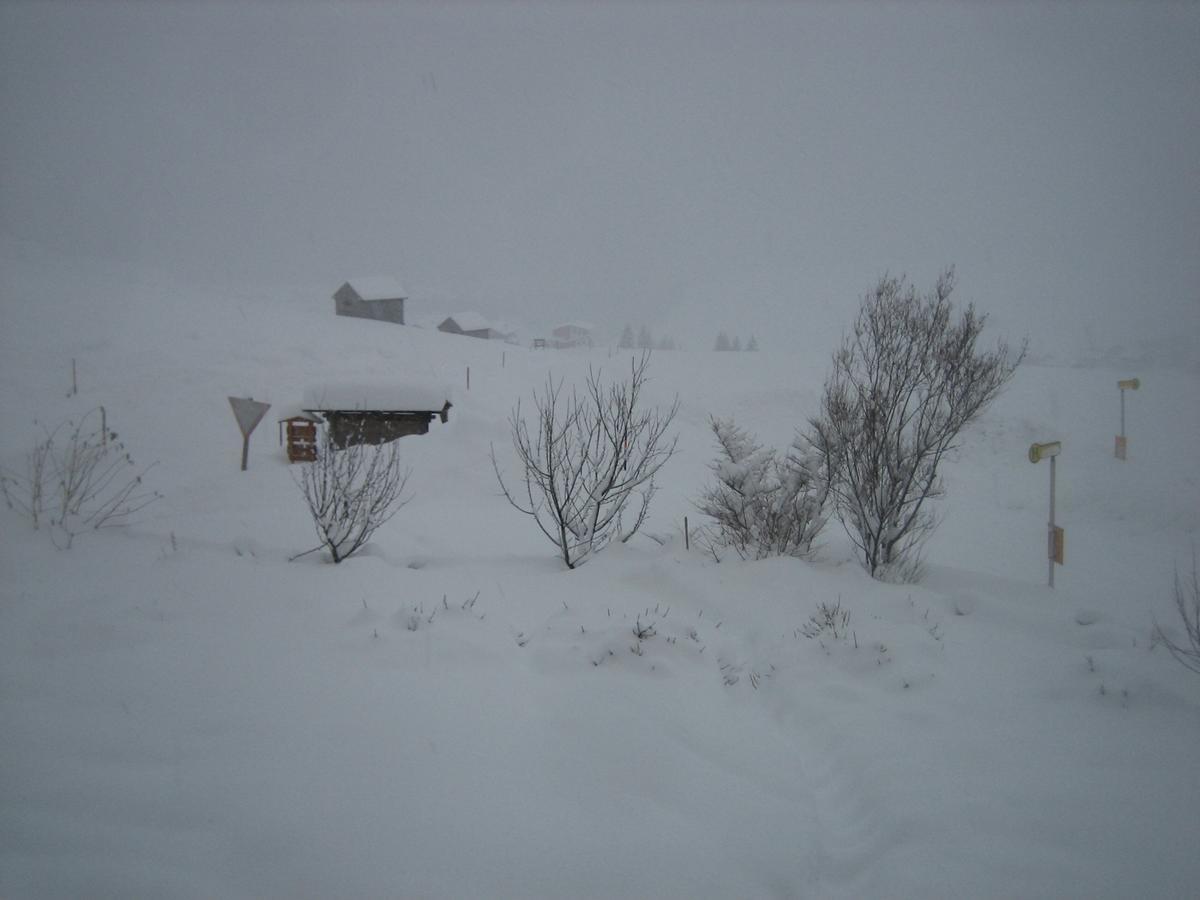 Haus Ursula Appartement Kals-am Großglockner Buitenkant foto