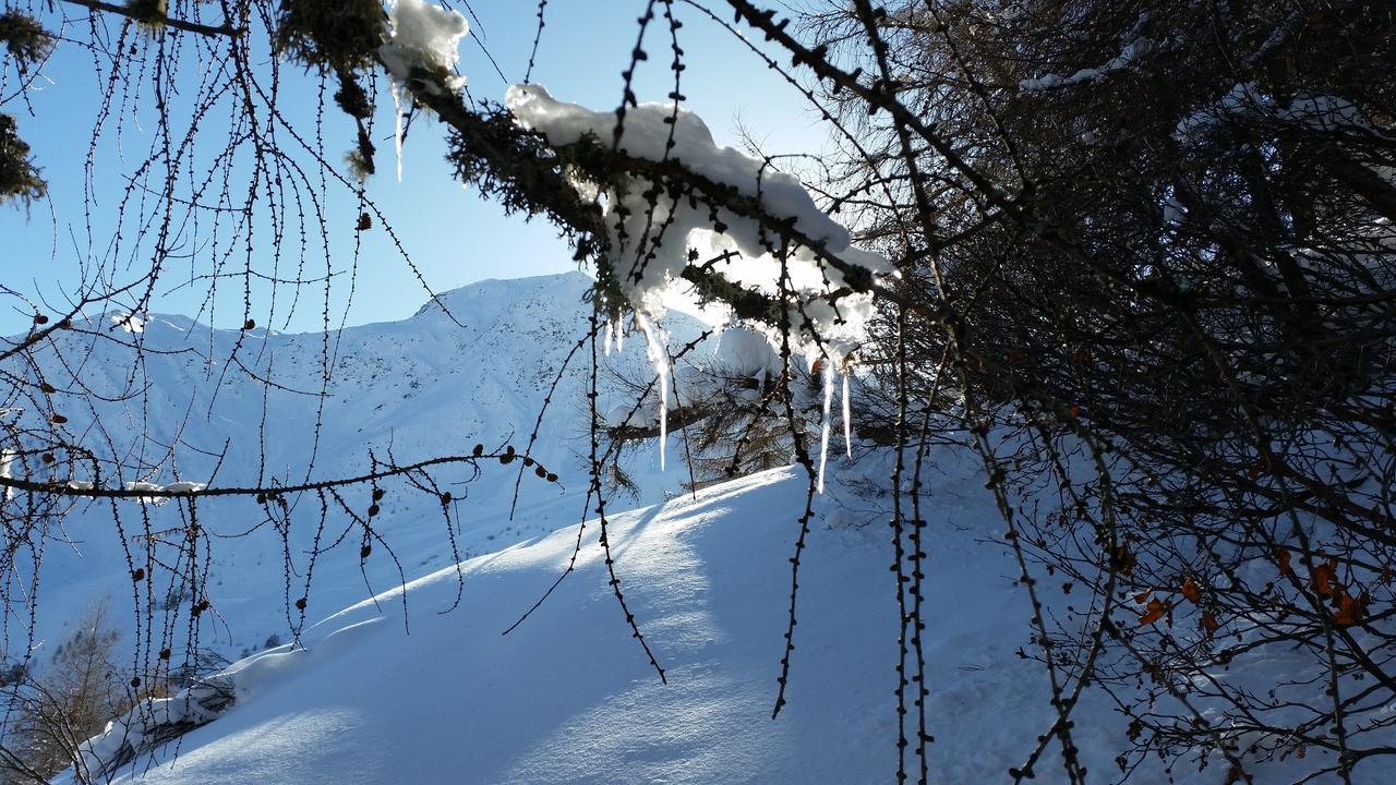 Haus Ursula Appartement Kals-am Großglockner Buitenkant foto