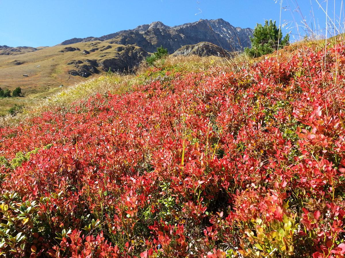 Haus Ursula Appartement Kals-am Großglockner Buitenkant foto