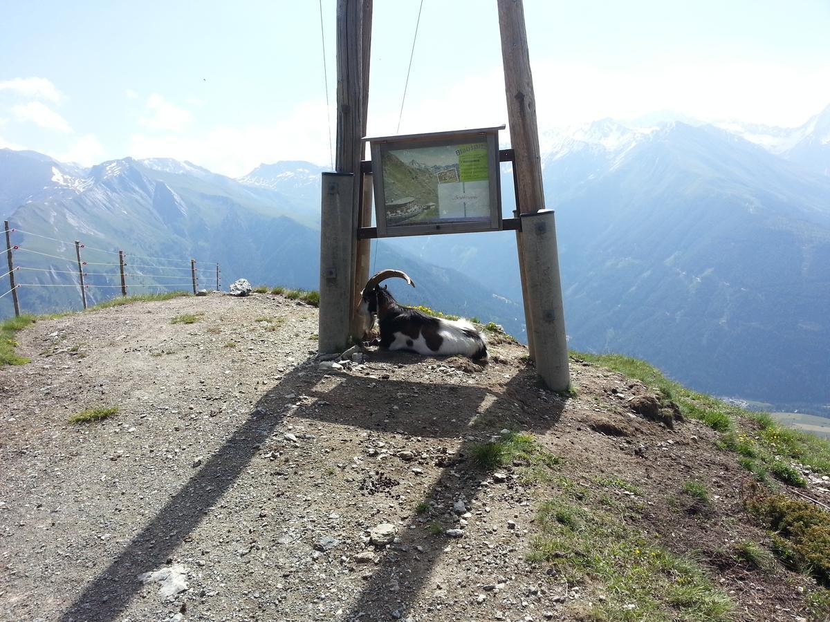Haus Ursula Appartement Kals-am Großglockner Buitenkant foto